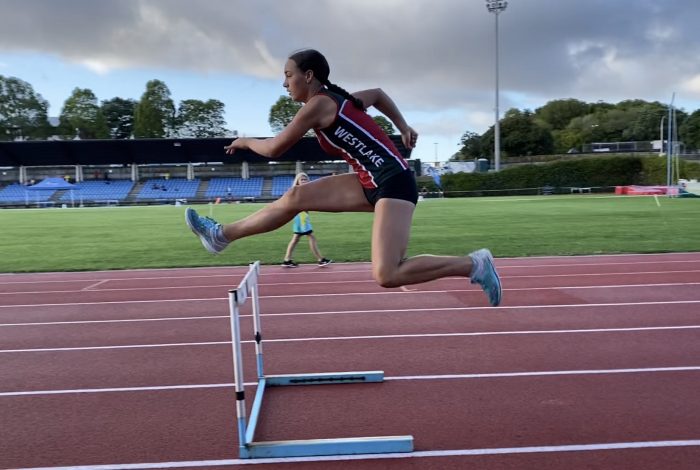 Hurdles Hurdles