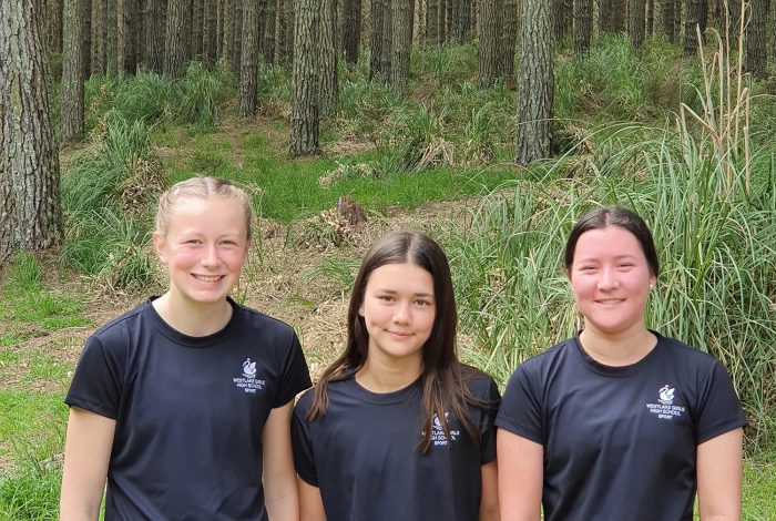Orienteering 2