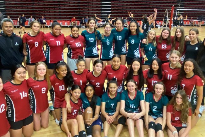 all teams