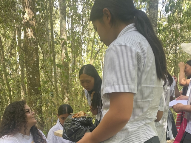 STEAM TRIP 3