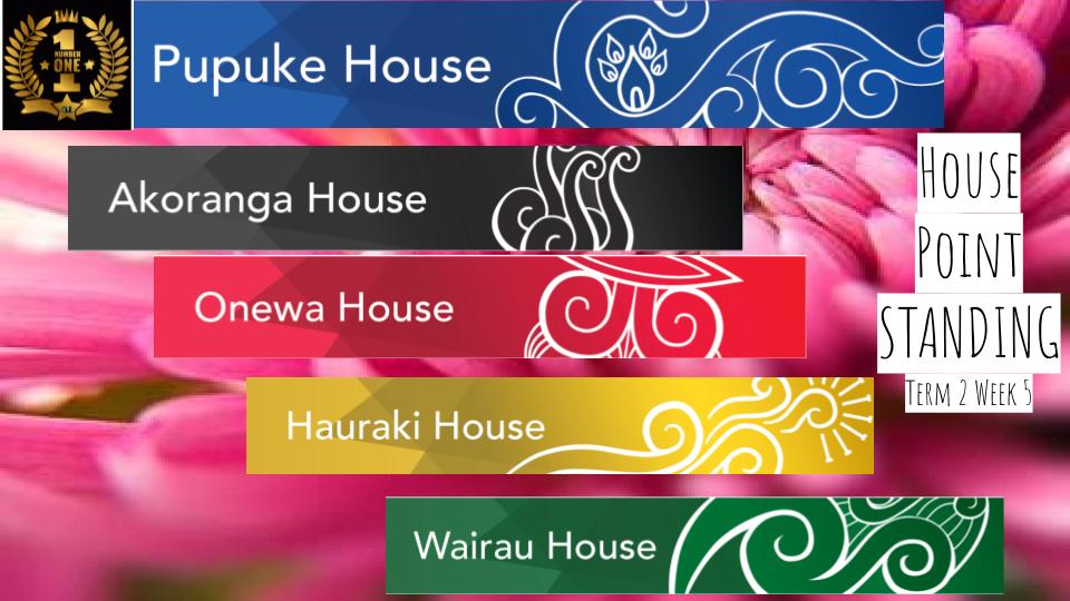 _House Points update T2 week 5 2025 slides (2)