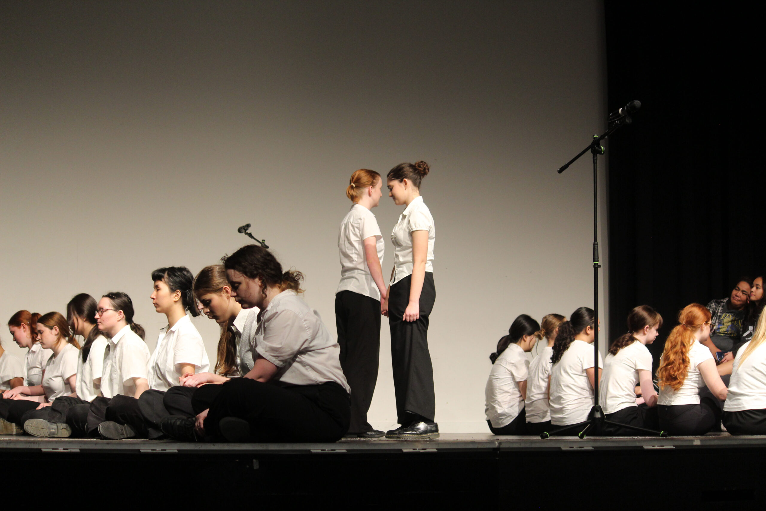 IMG_9743 (003) IMG_9743 (003)