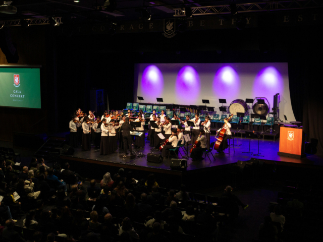 Taharoto String Orchestra