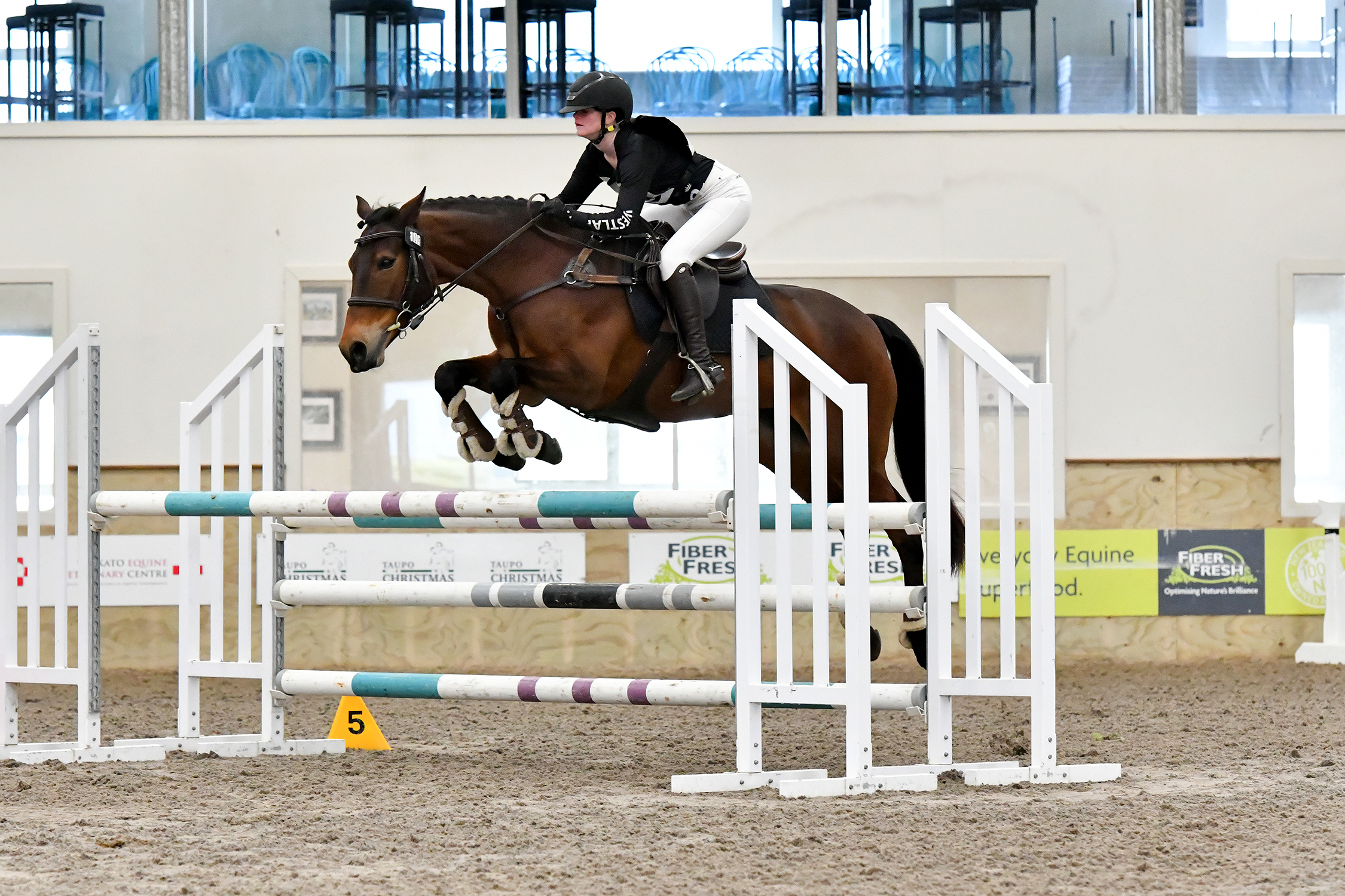 Samantha Syme equestrian
