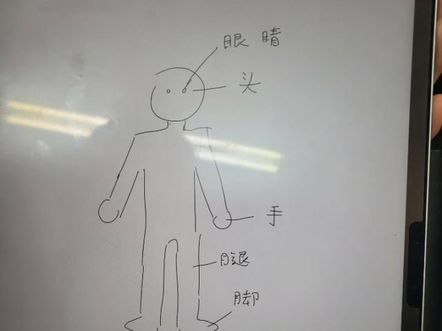 4. Name body parts in Chinese