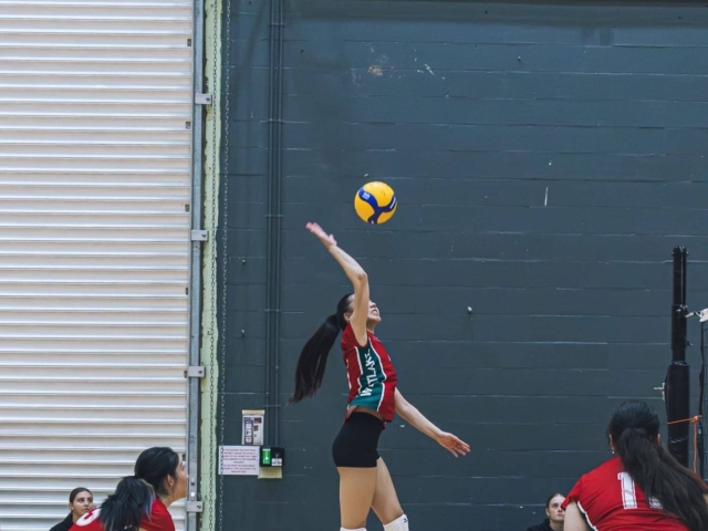 volleytball gwen