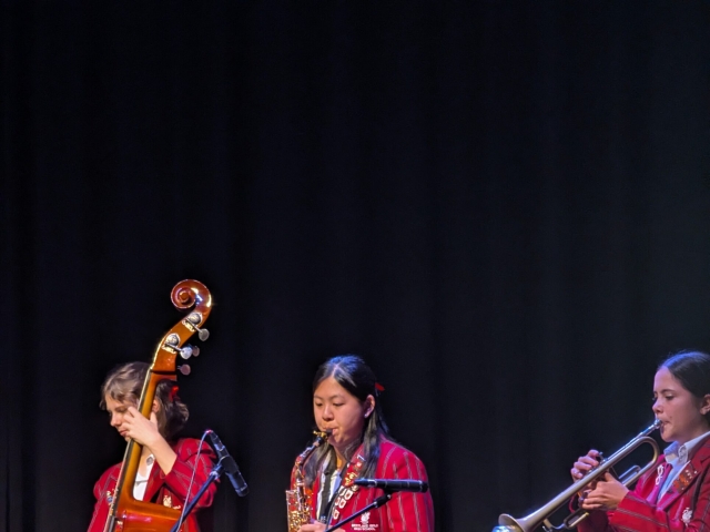 Jazz Festival - Limin