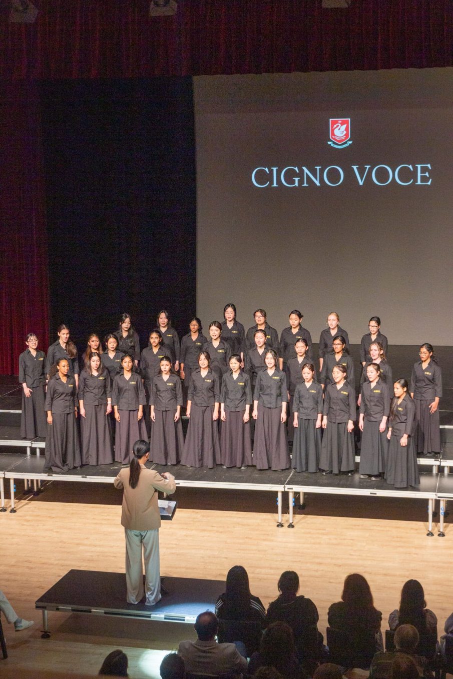 Cigno Voce