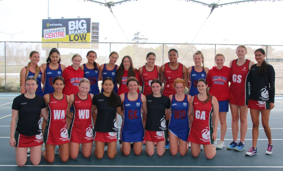 Netball courts