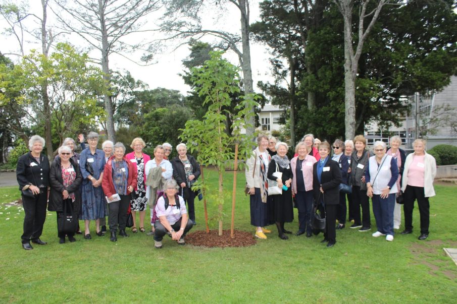 Reunion group with tree