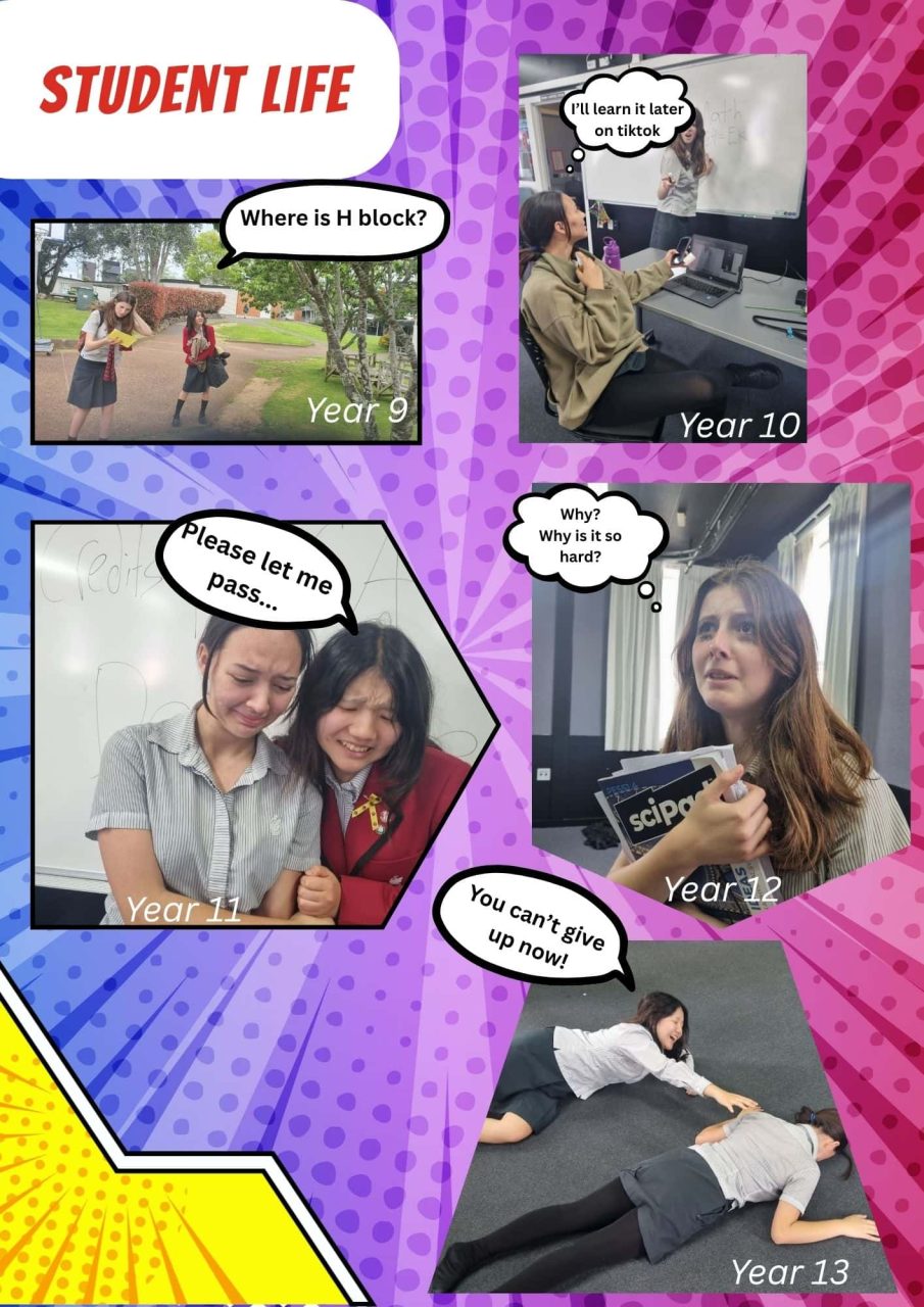 Student life comic 2