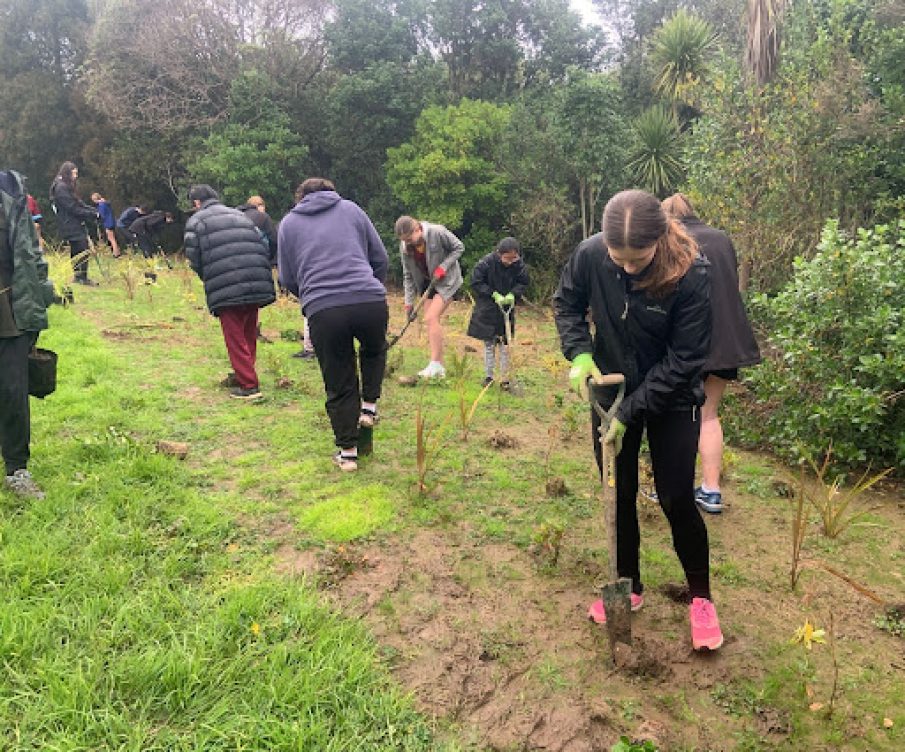 Tree planting main