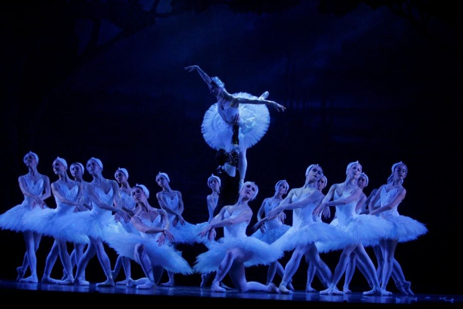 rnzb swan lake (1)